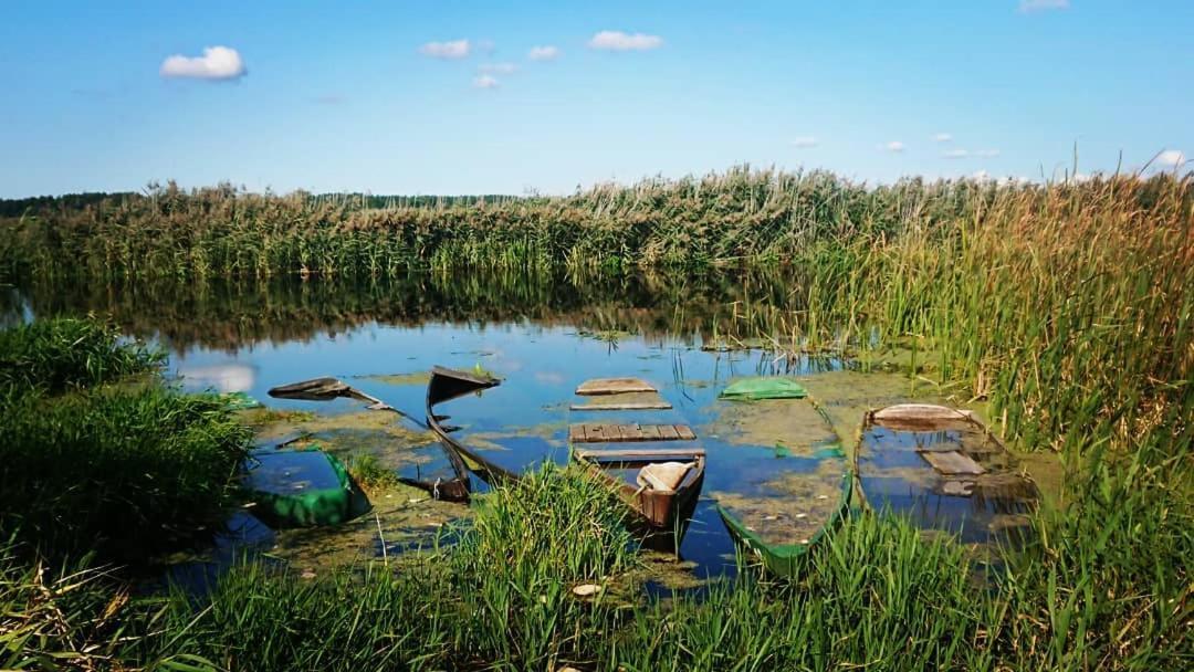 Willa Bobrowa Dolina Wojtostwo  Bagian luar foto