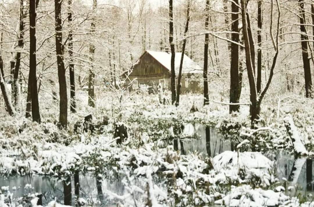 Willa Bobrowa Dolina Wojtostwo  Bagian luar foto