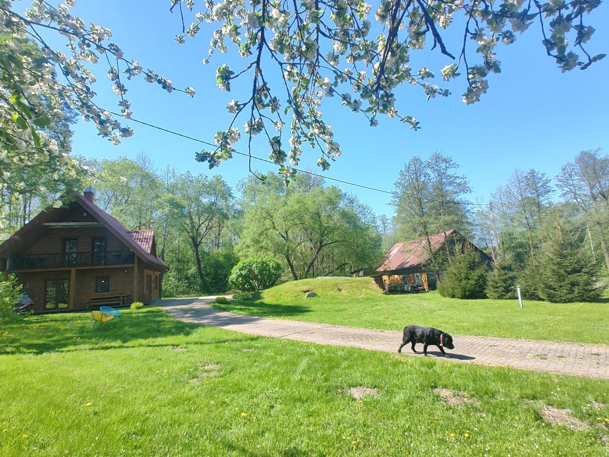 Willa Bobrowa Dolina Wojtostwo  Bagian luar foto