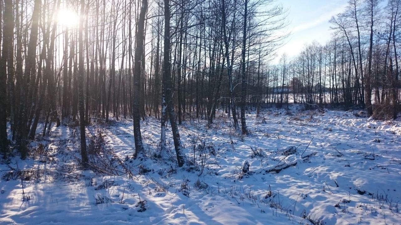 Willa Bobrowa Dolina Wojtostwo  Bagian luar foto