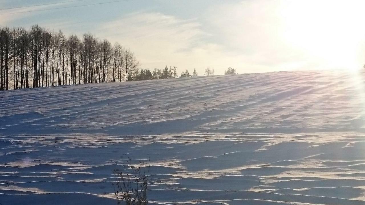 Willa Bobrowa Dolina Wojtostwo  Bagian luar foto